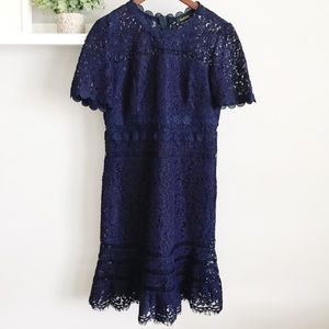 bardot eloise lace dress
